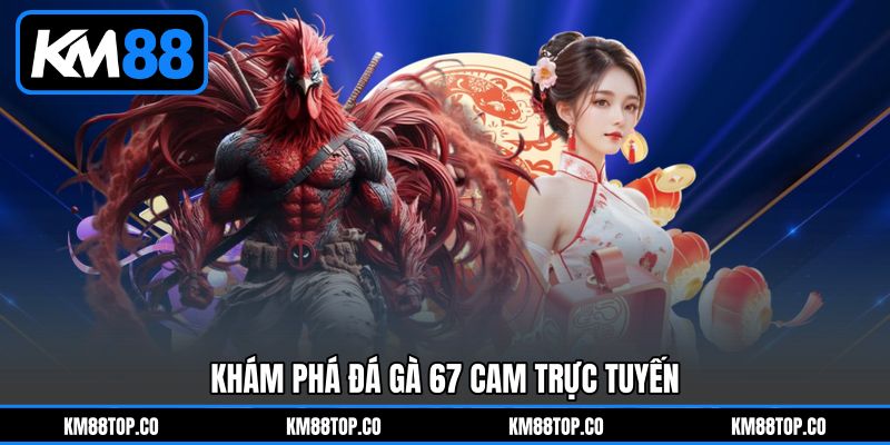 Khám Phá Đá Gà 67 Cam Trực Tuyến
