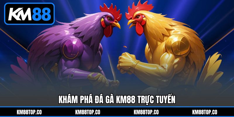 Khám phá Đá gà KM88 trực tuyến