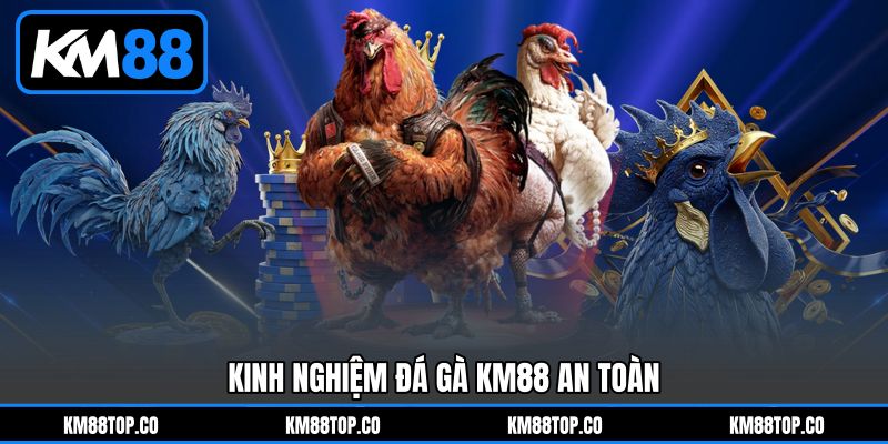 Kinh nghiệm Đá gà KM88 an toàn