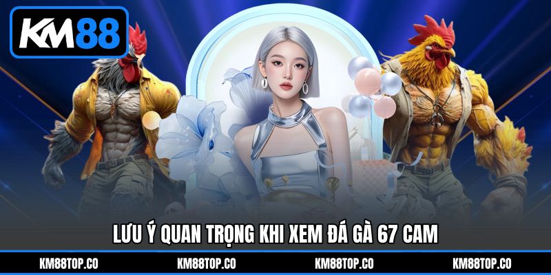 Lưu Ý Quan Trọng Khi Xem Đá Gà 67 Cam