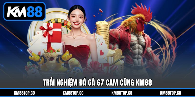 Trải Nghiệm Đá Gà 67 Cam Cùng KM88